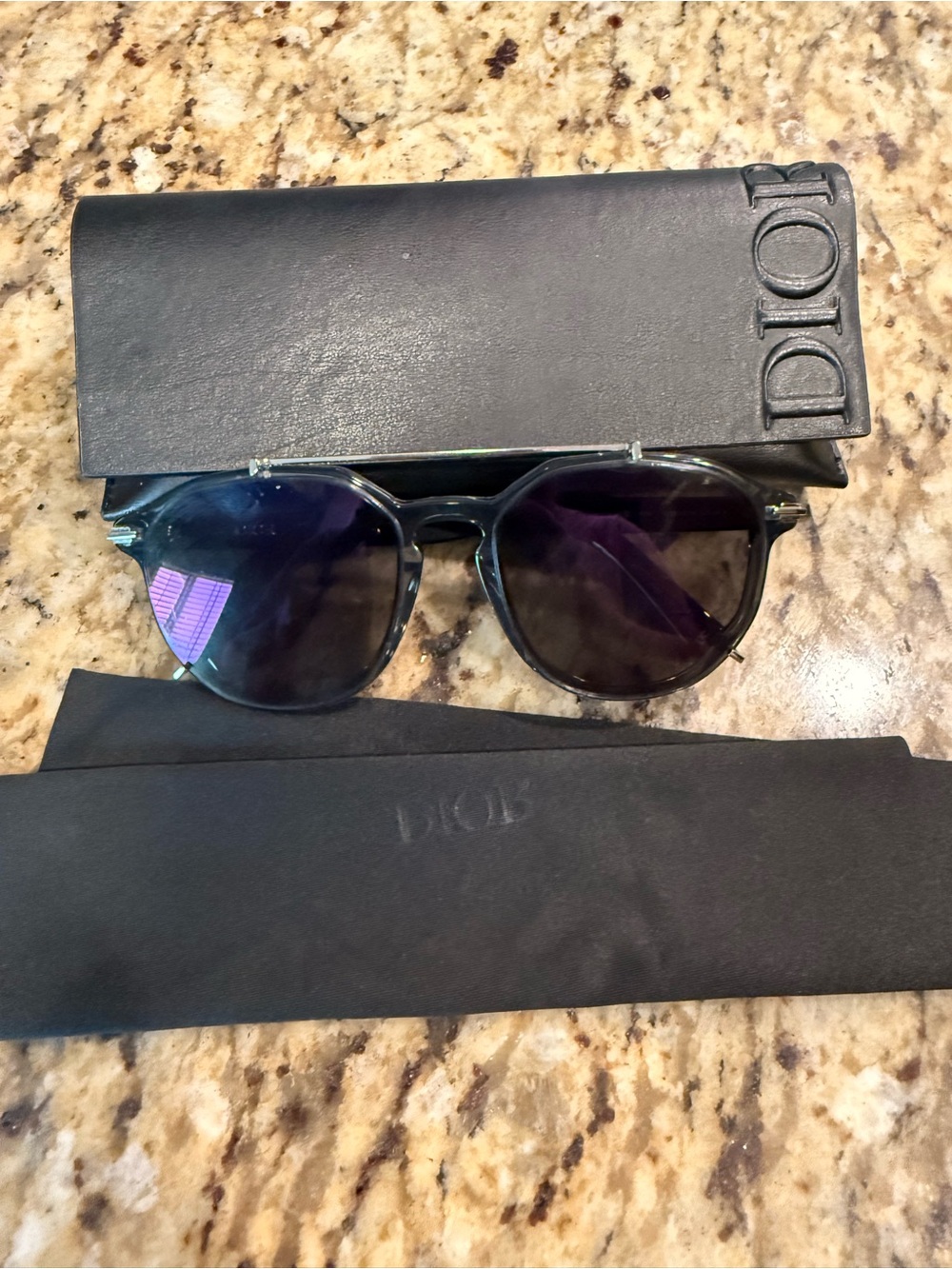 DiorBlackSuit RI Sunglasses